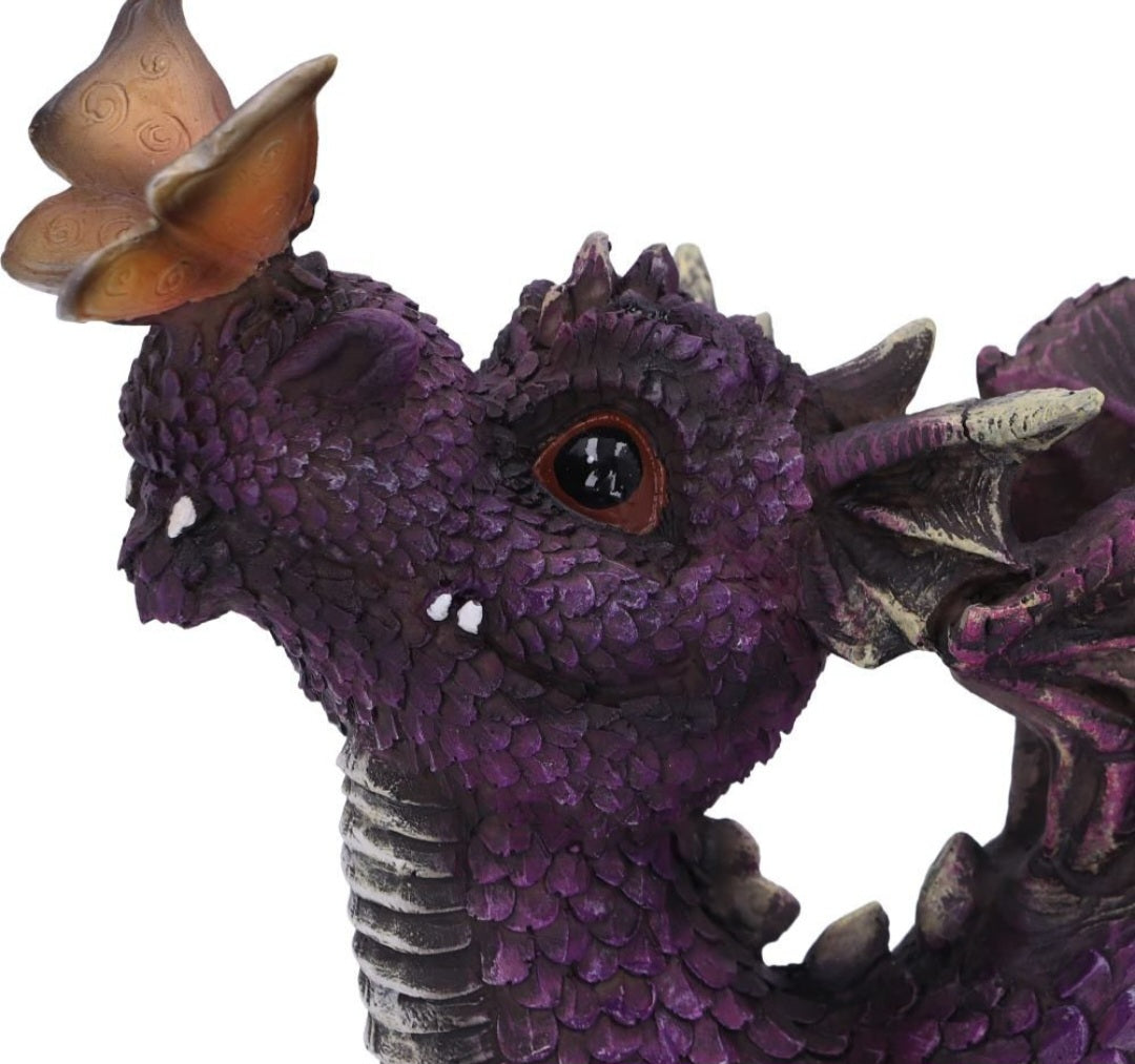 Dragon Nature's Kiss