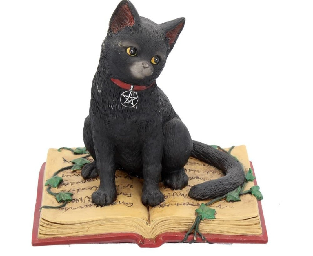 Eclipse Cat Spell Book Figurine Wiccan Witch Gothic Ornament