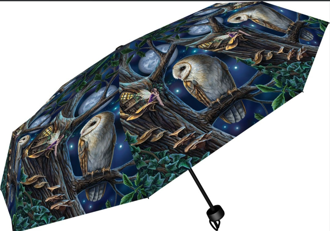 Umbrellas