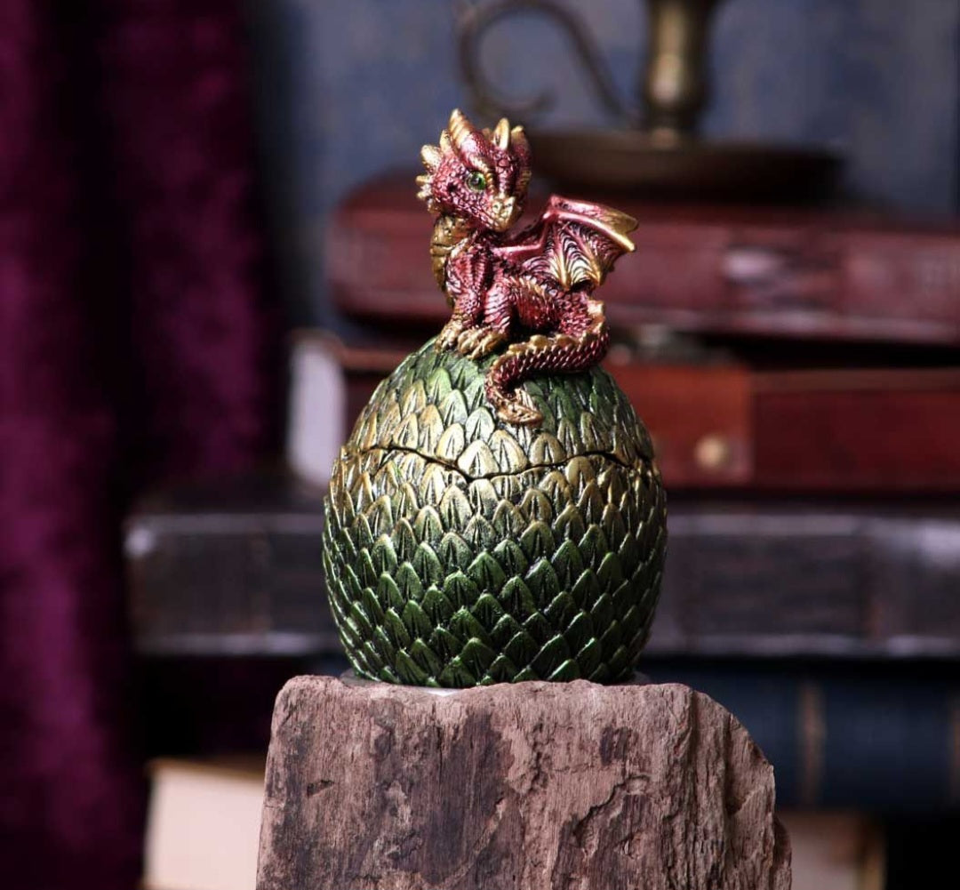 Dragonling Perch Box