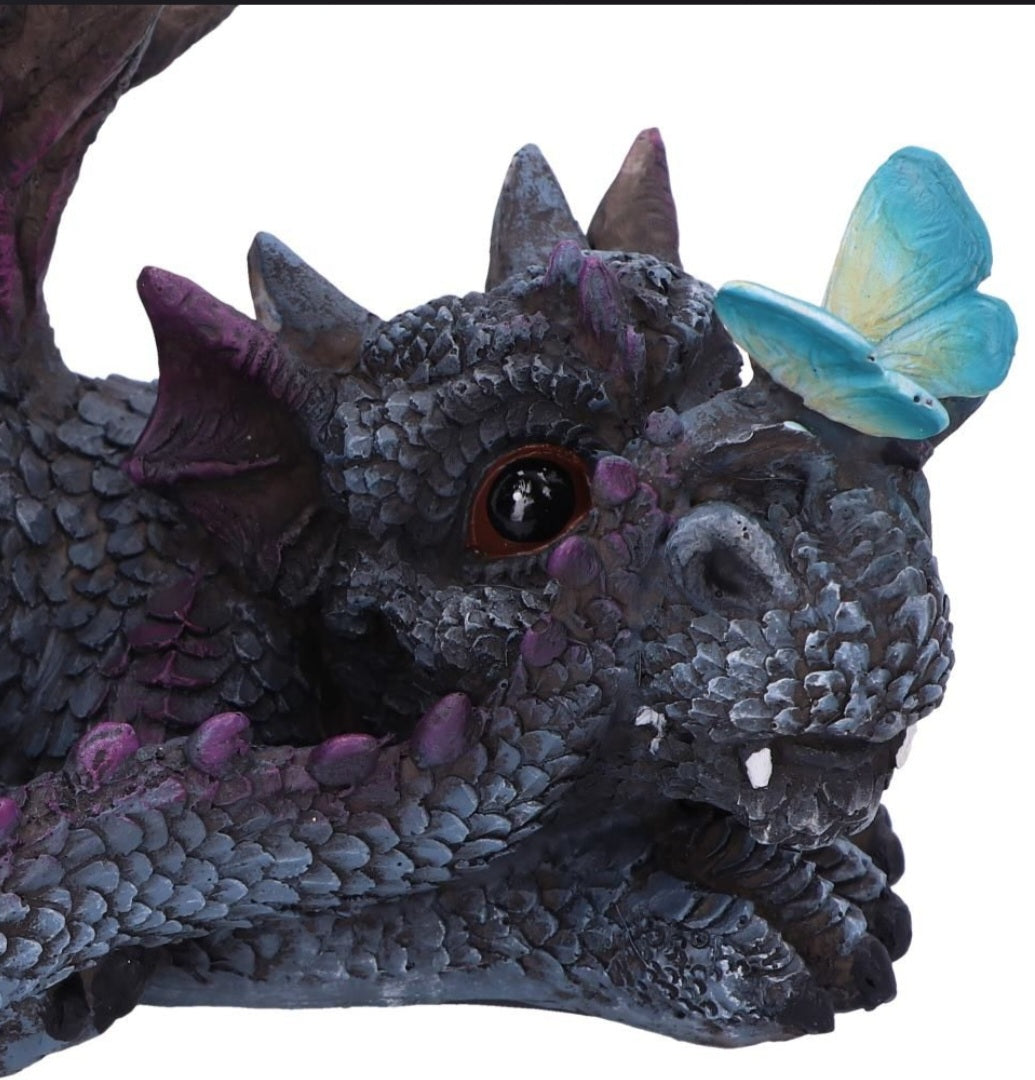 Dragon Butterfly's Rest