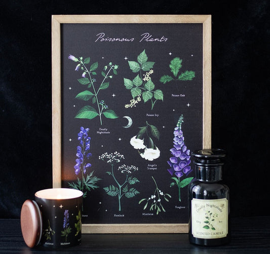 Poisonous Plants Wall Hanging